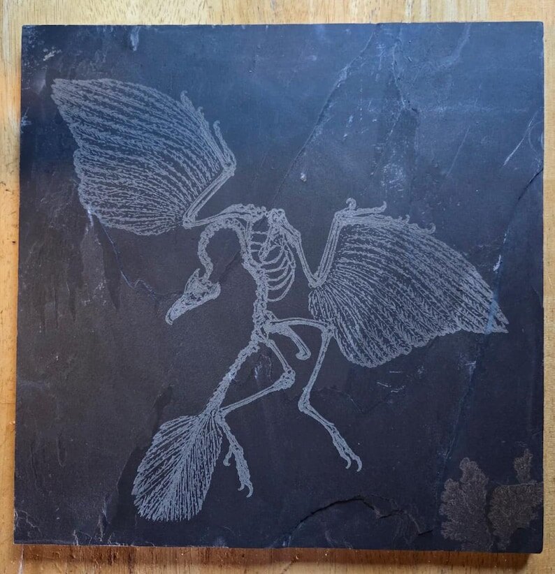 Archaeopteryx Fossil engraved tile